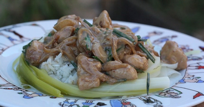 Poulet sauce satay, une délicieuse recette Balinaise Poulet sauce satay, une délicieuse recette Balinaise