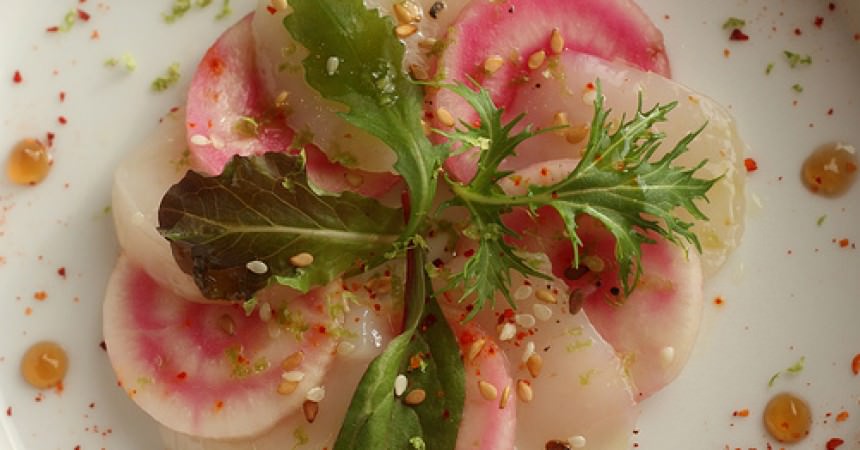 Carpaccio de St Jacques aux betteraves de couleurs Carpaccio de St Jacques aux betteraves de couleurs