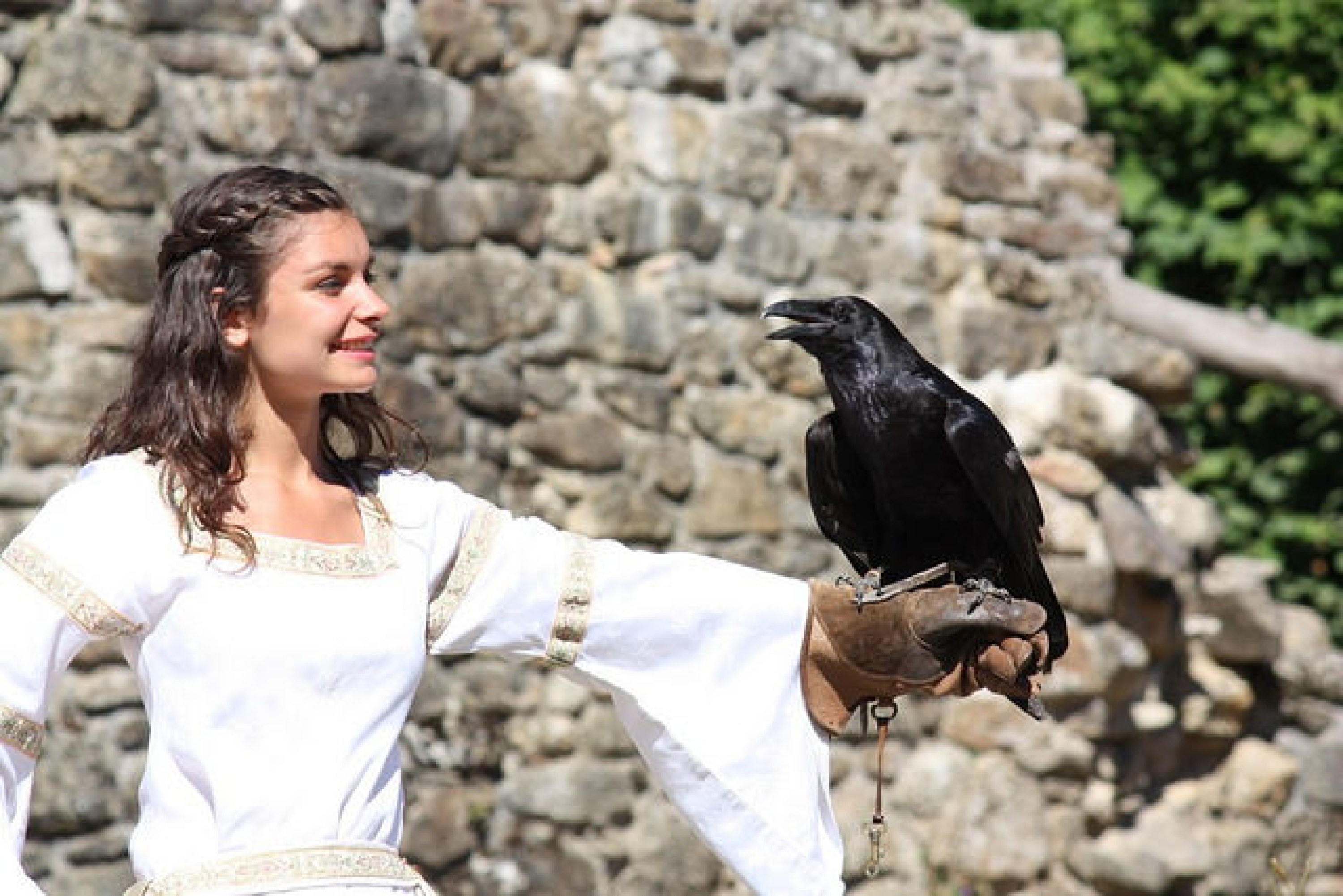 Deux jours pour découvrir le Parc du Puy du Fou