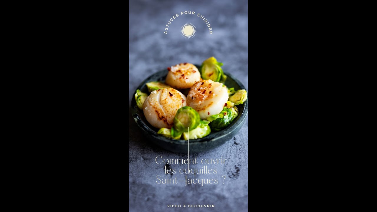 Comment ouvrir les coquilles Saint-Jacques ?