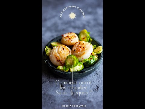 Comment ouvrir les coquilles Saint-Jacques ?