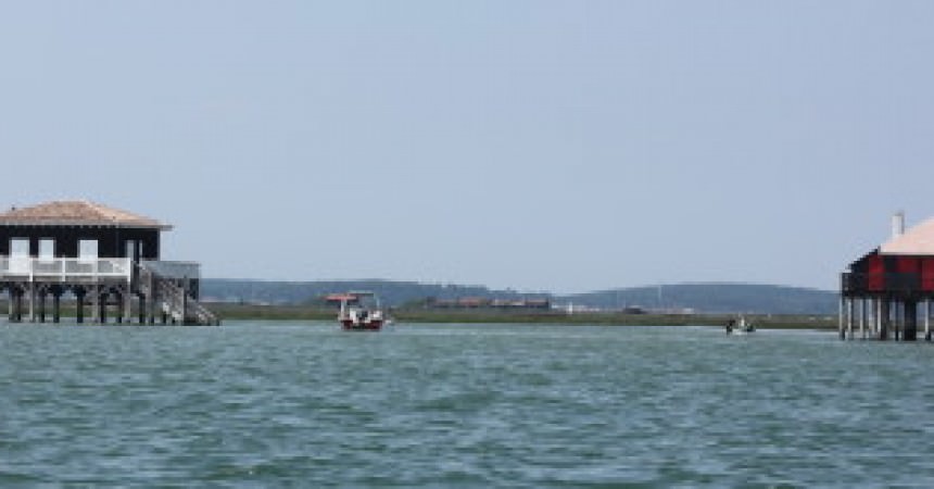 Une journée sur le Bassin d’Arcachon … Une journée sur le Bassin d’Arcachon …