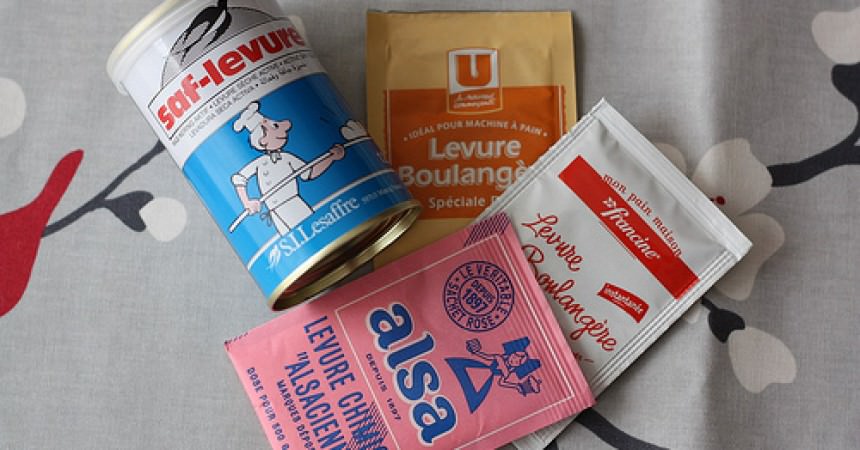 Tout savoir sur : les différentes levures | Ma p'tite cuisine