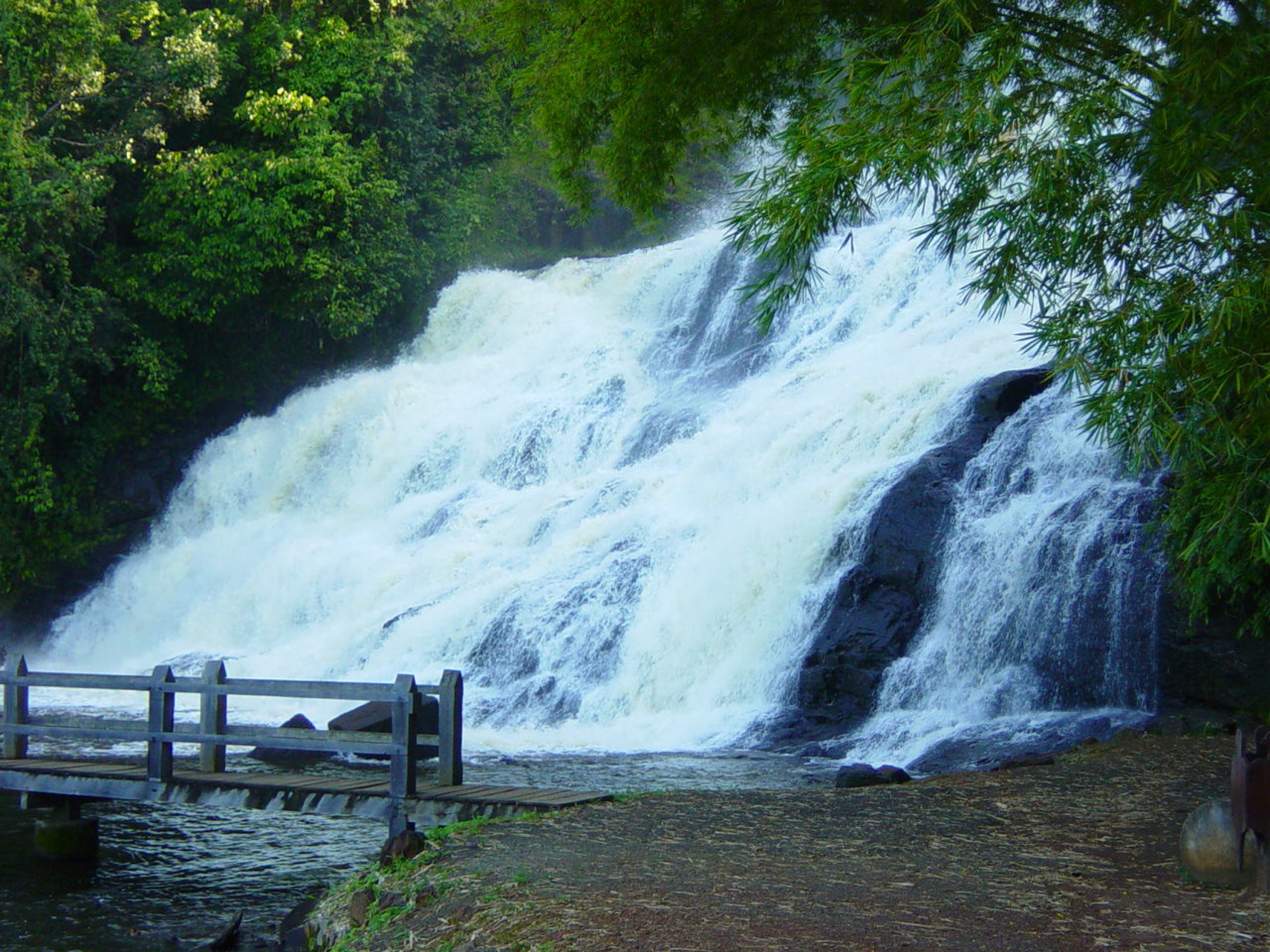 DSC06727