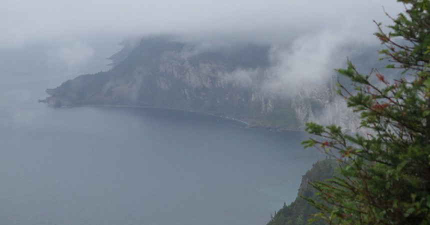 A la découverte de Gaspé et du Parc National du Forillon (Gaspésie, Canada) A la découverte de Gaspé et du Parc National du Forillon (Gaspésie, Canada)