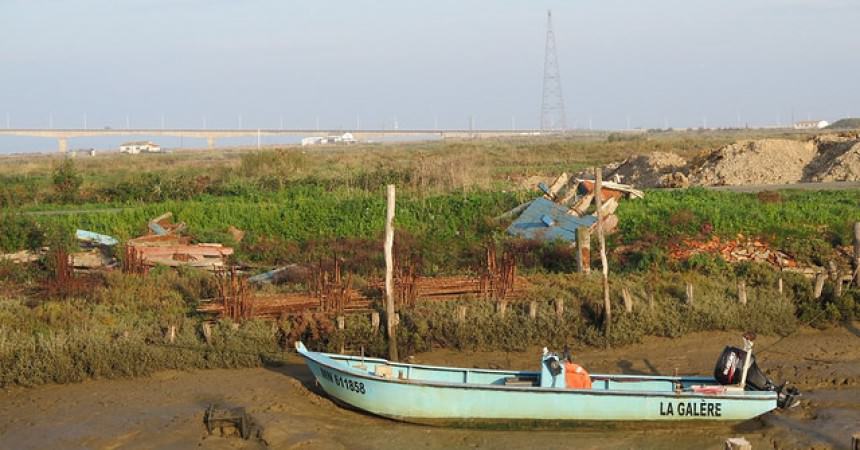 A la découverte de Marennes, des huîtres et des crevettes impériales des marais A la découverte de Marennes, des huîtres et des crevettes impériales des marais