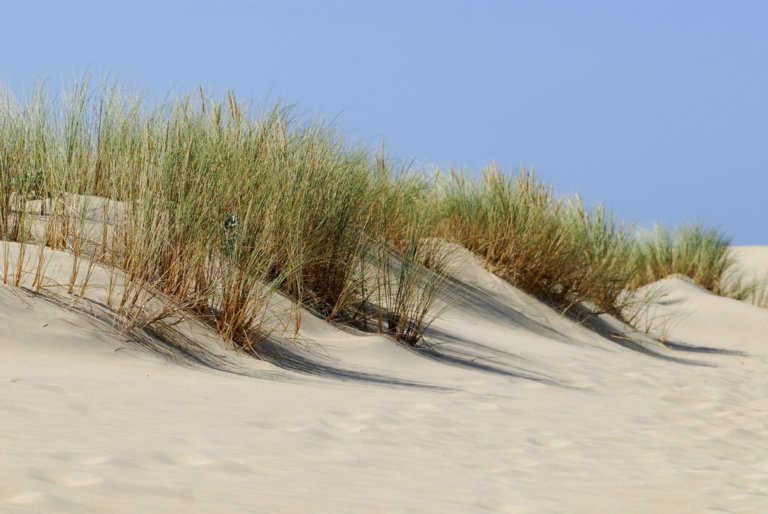 shutterstock_66240151