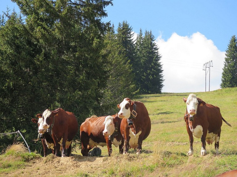 Ferme de Seraussaix