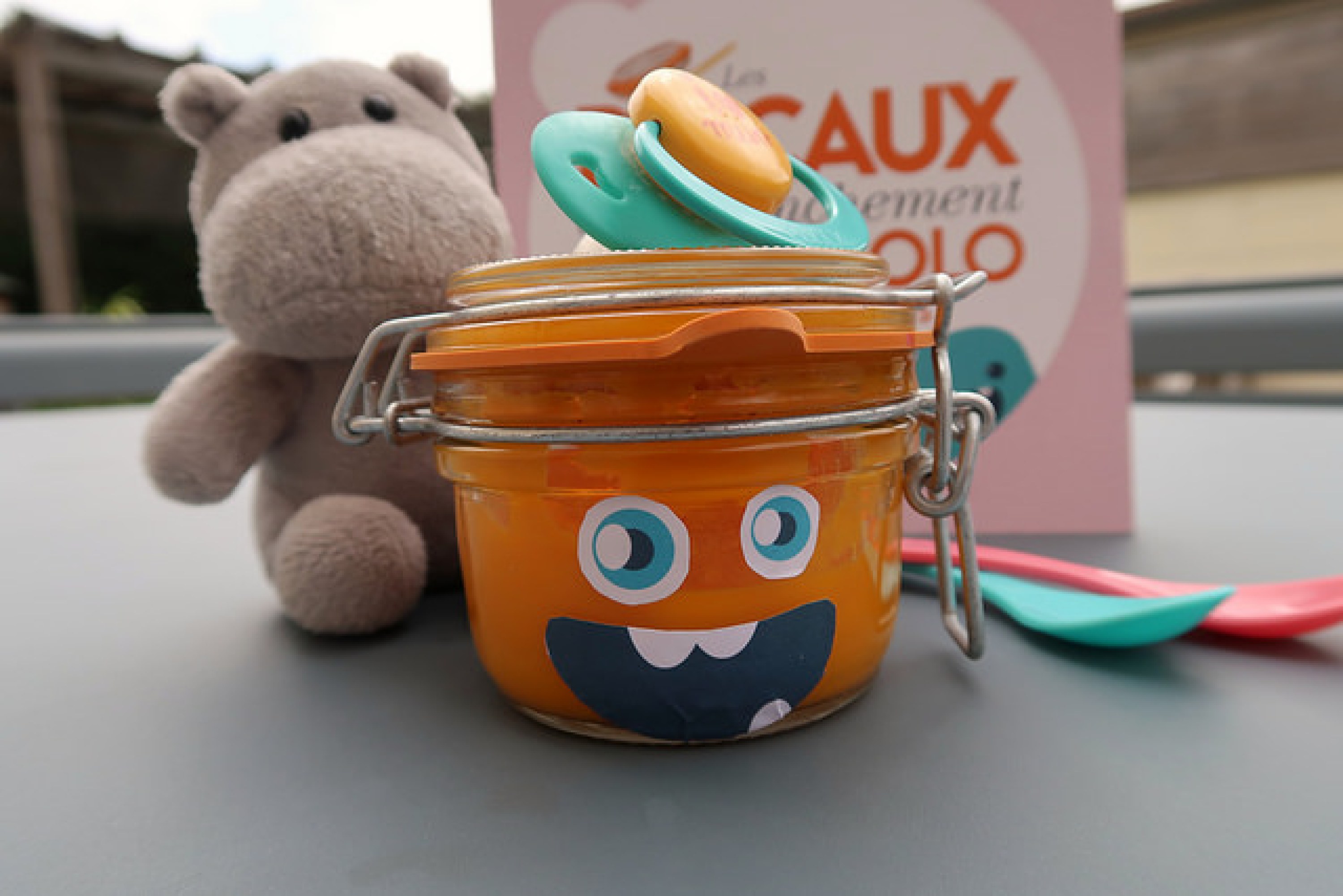 Comment Faire Des Petits Pots En Conserve Pour Bebe Audrey Cuisine
