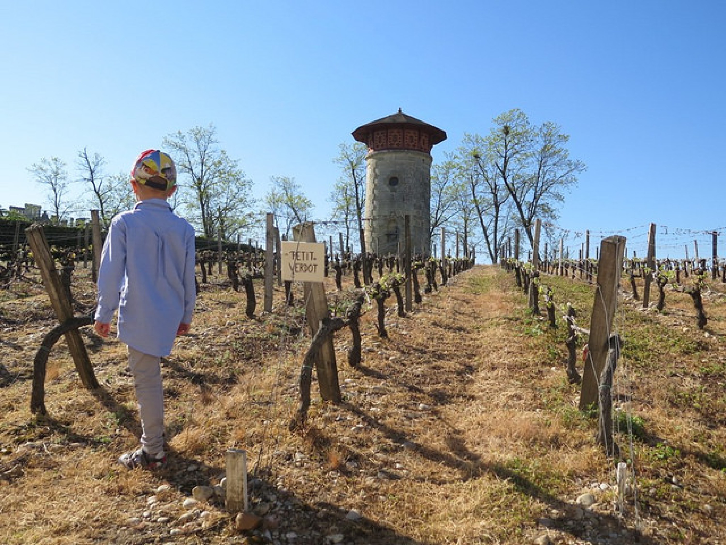 Les Portes ouvertes dans les Châteaux du Médoc