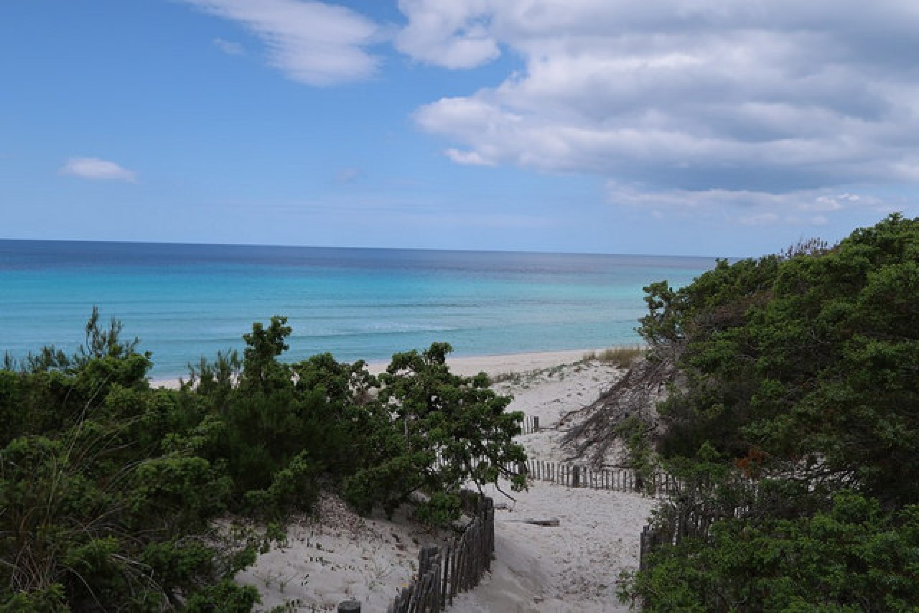 Plage de Saleccia