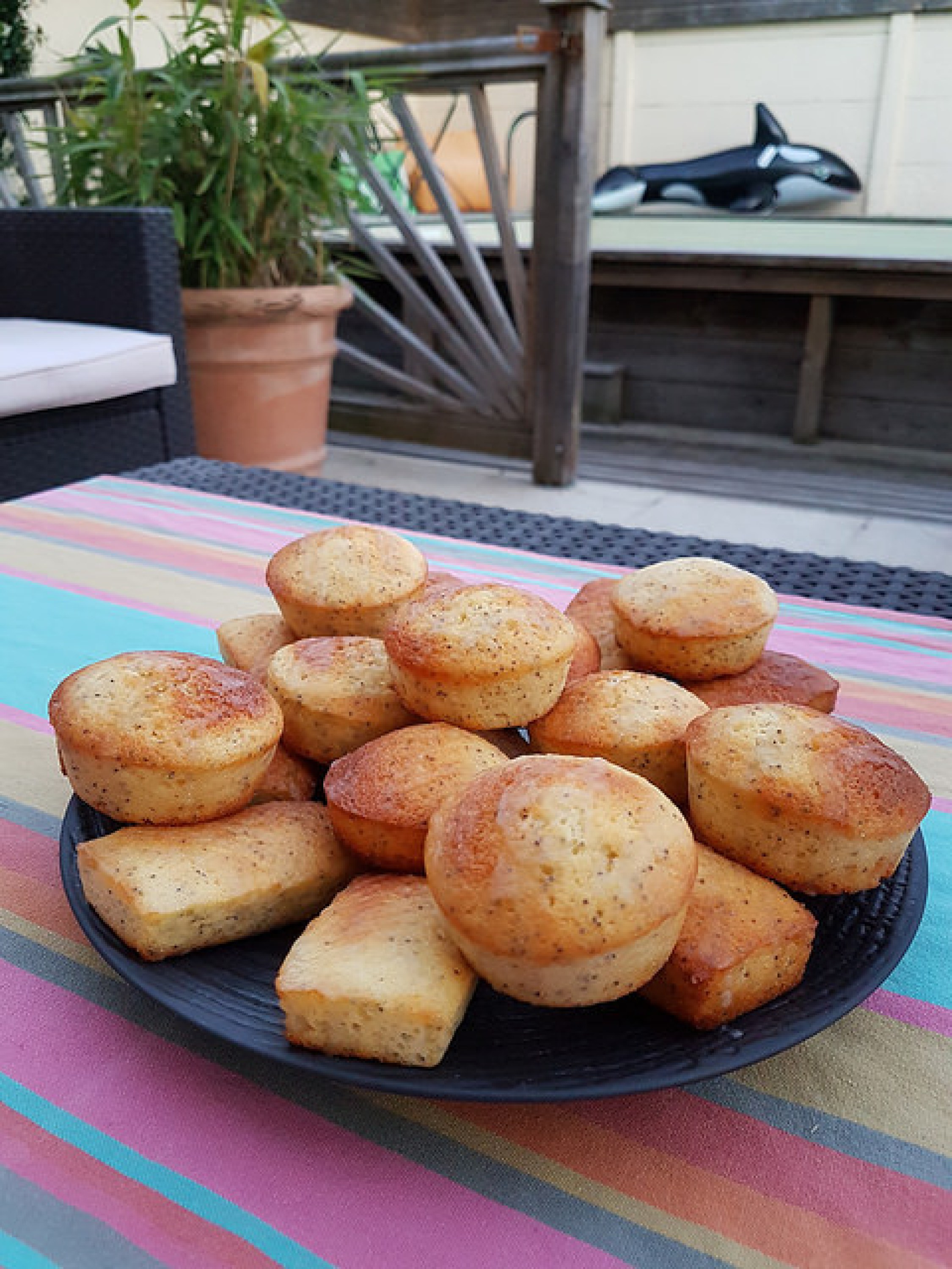 Mini cakes citron & pavot