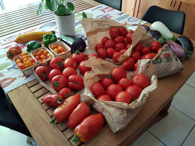 Conserves de sauce tomate maison