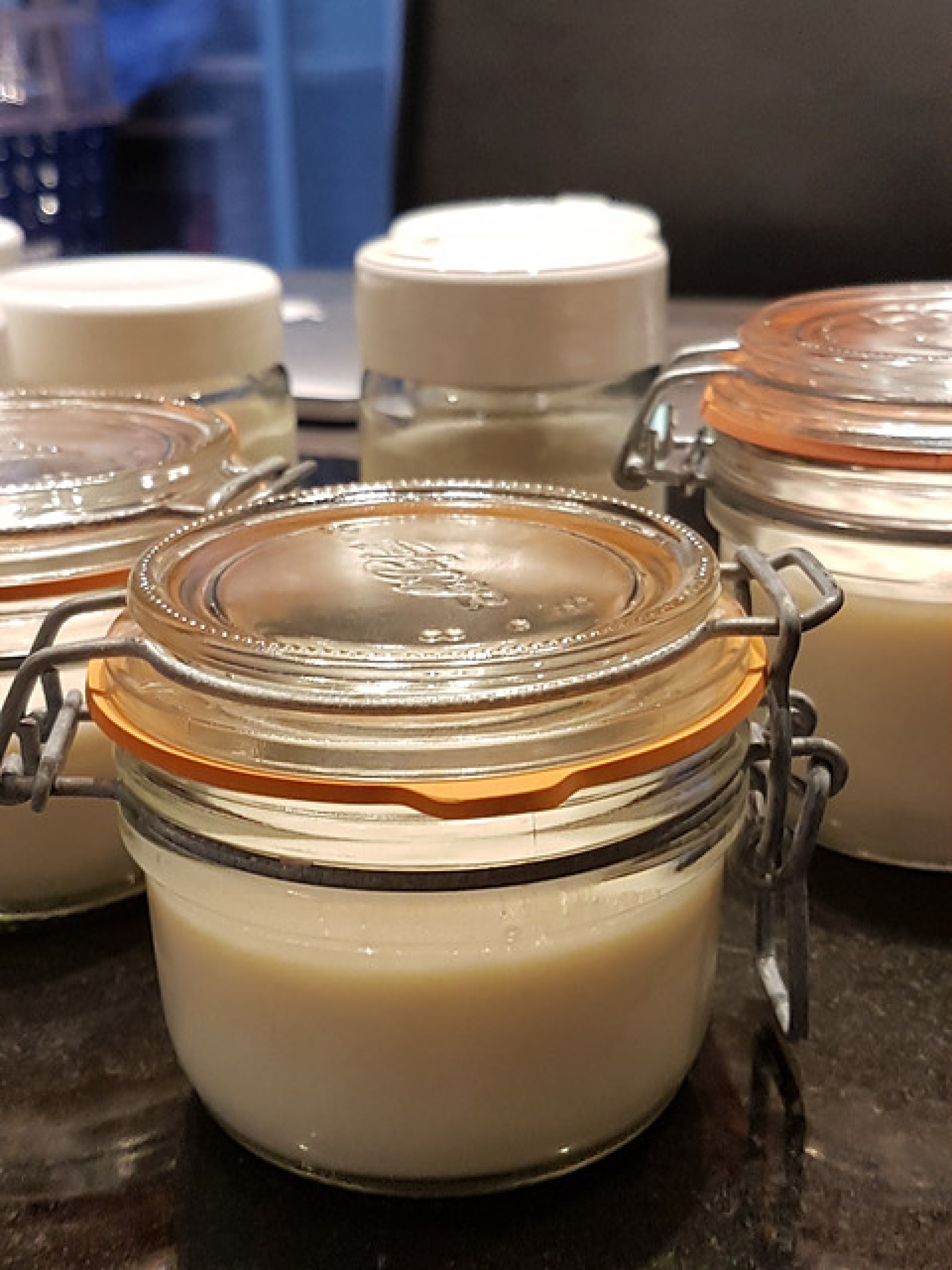 Yaourt maison au lait de soja vanille