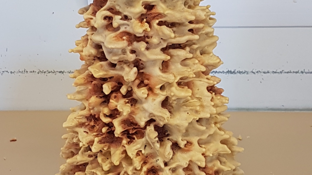 Le Gateau A La Broche Une Specialite Des Pyrenees Audrey Cuisine