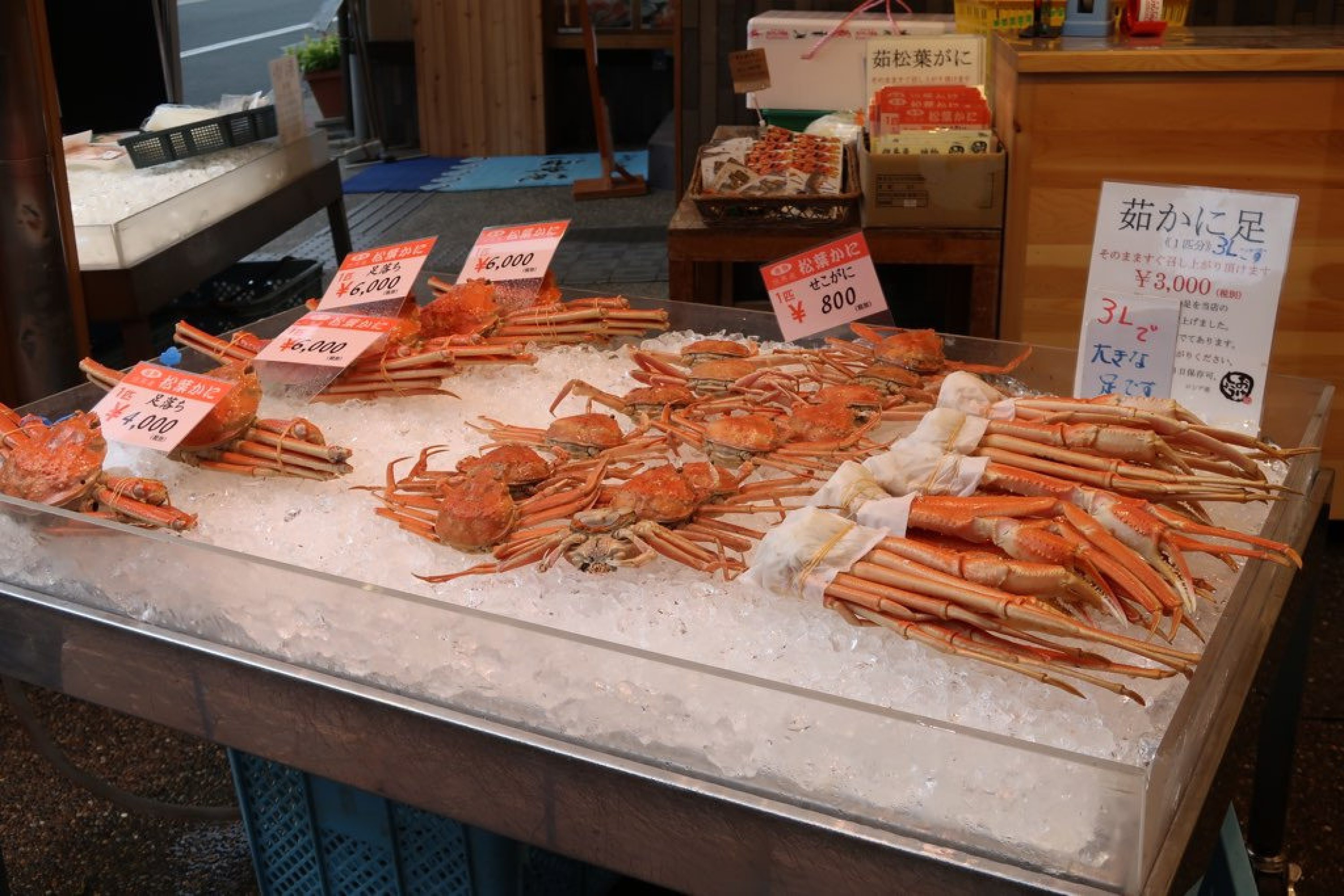 Le crabe de Matsuba à Kinosaki Onsen au Japon
