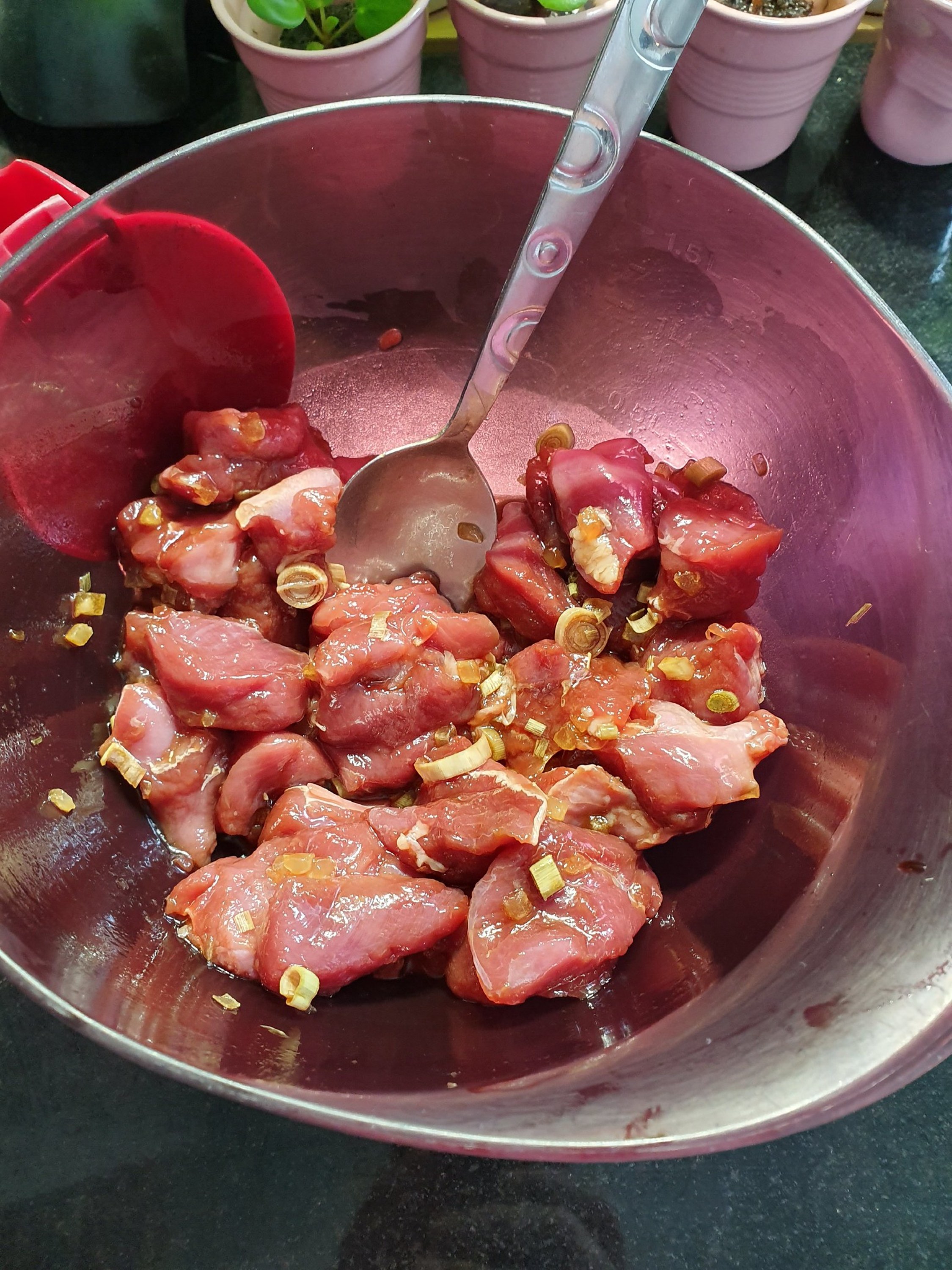 Cuisson Magret De Canard Ultra Pro Tupperware
