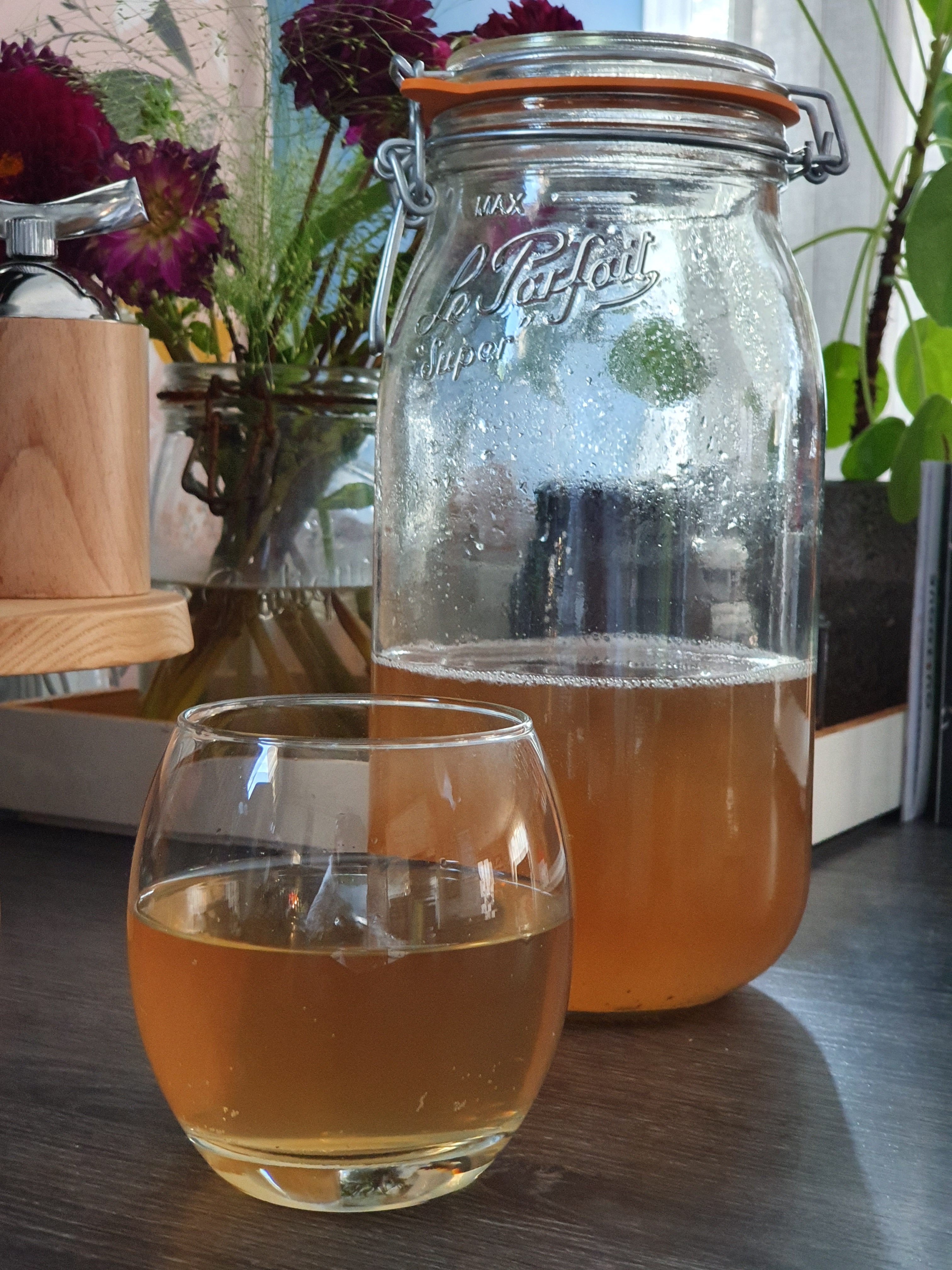 Comment faire du Kombucha "