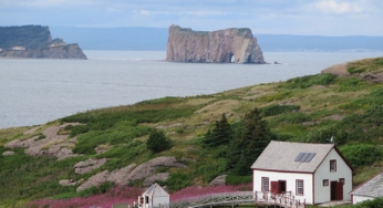 Road-trip Québec et Gaspésie en famille