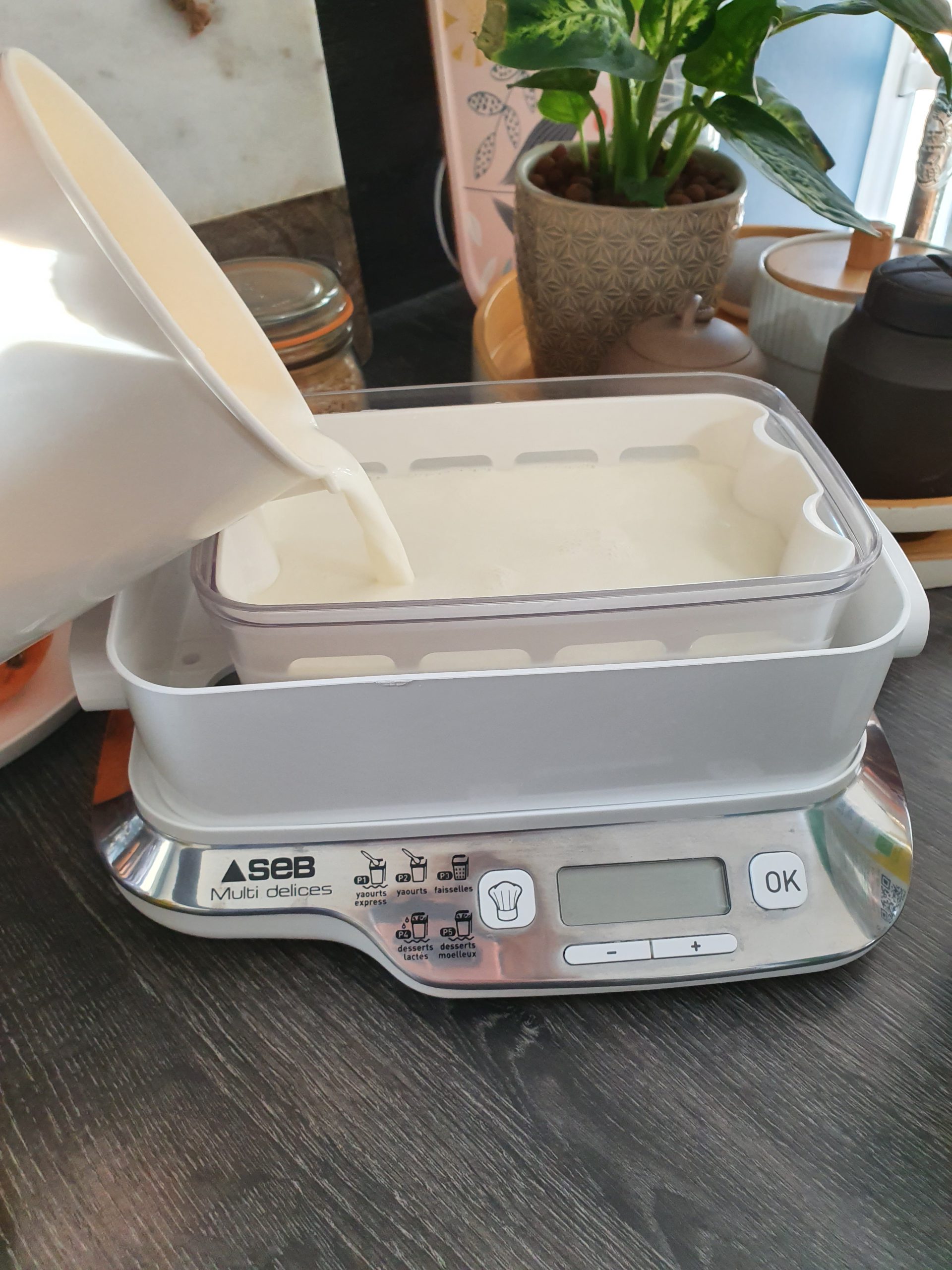 Recette Faisselle Yaourtiere Seb Multi Delice Fromage blanc maison à la multi Délices | Audrey Cuisine