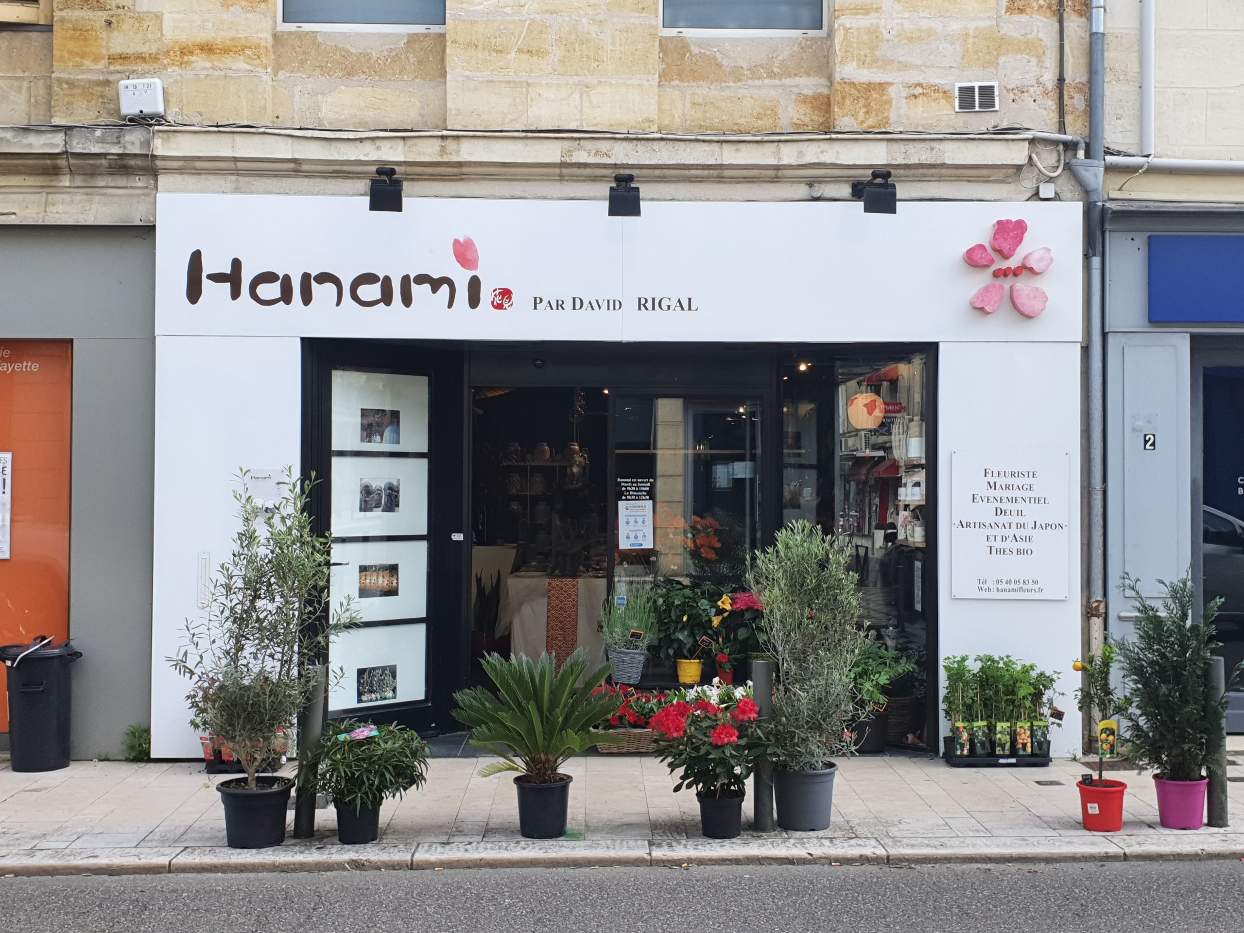 Hanami, boutiques fleurs et déco Japonaise
