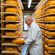 Les fromages de Hollande