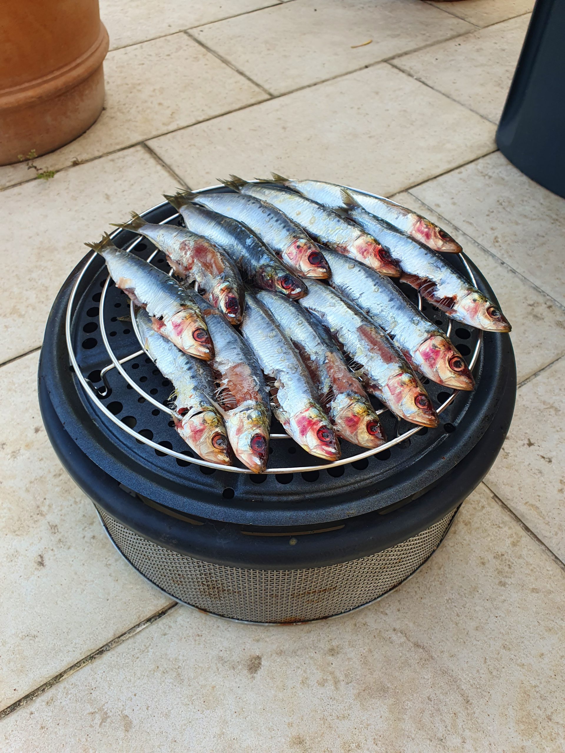 Sardines au barbecue