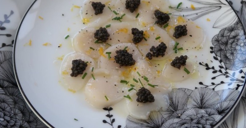 Carpaccio de Saint jacques
