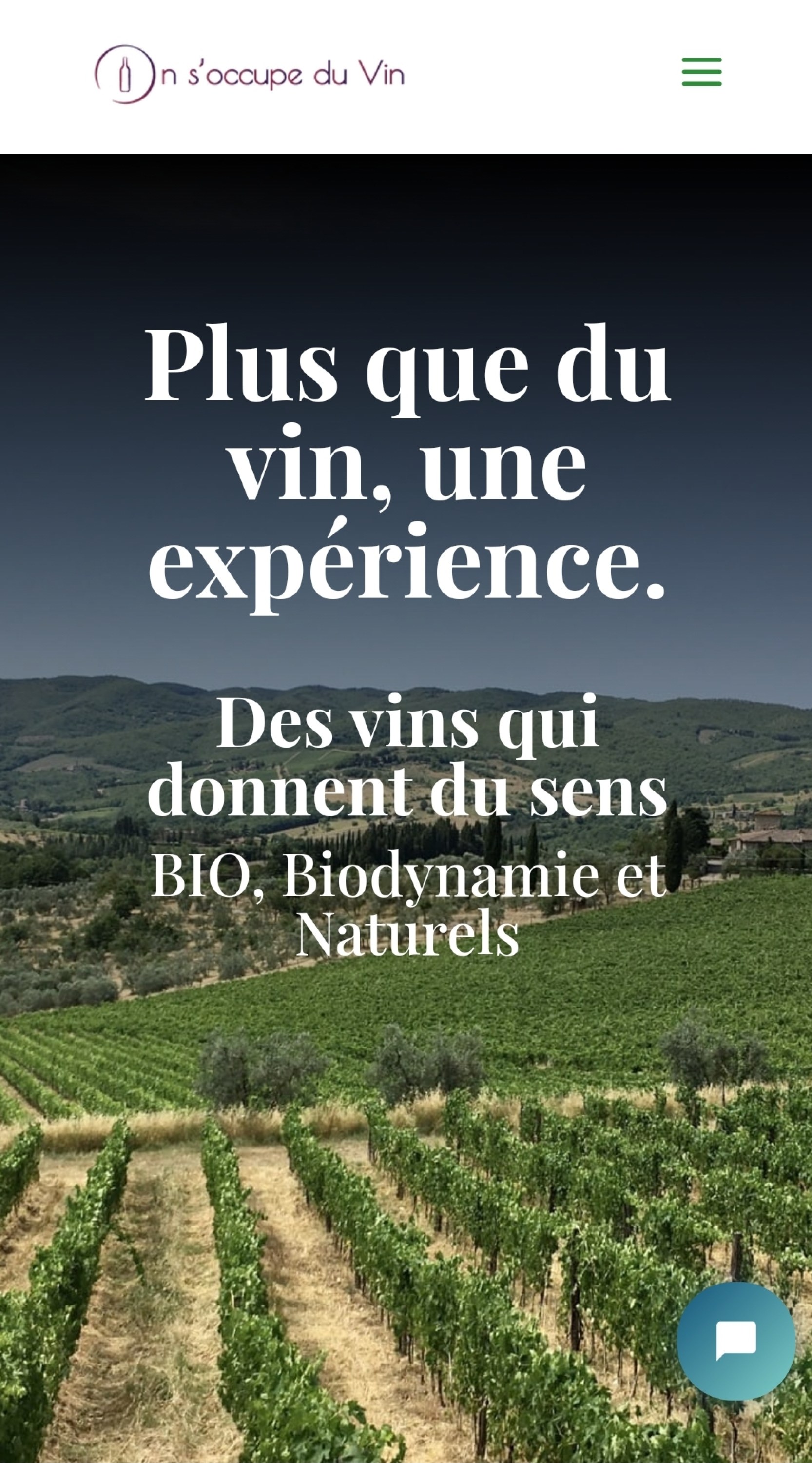 Comment découvrir les vins naturels ou natures "