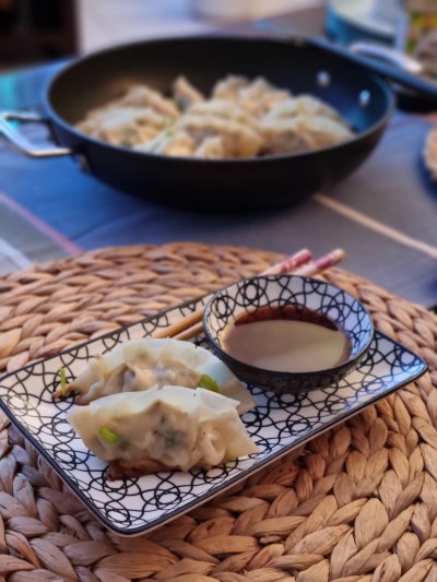 dégustation des gyoza maison