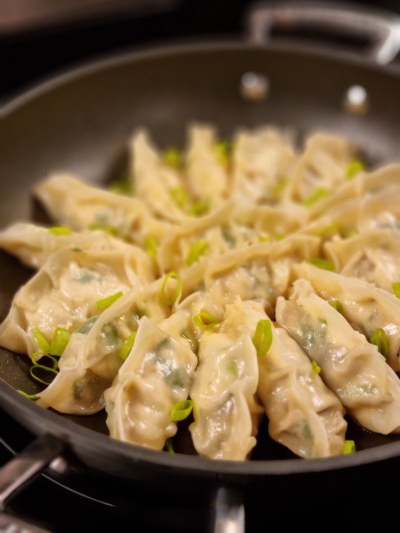 cuisson des gyoza