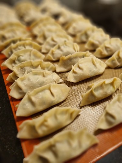 Pliage des Gyoza maison