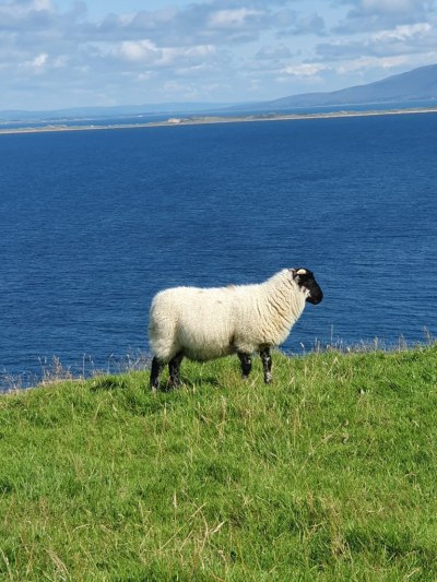 Péninsule de Dingle