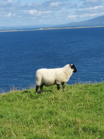 Péninsule de Dingle