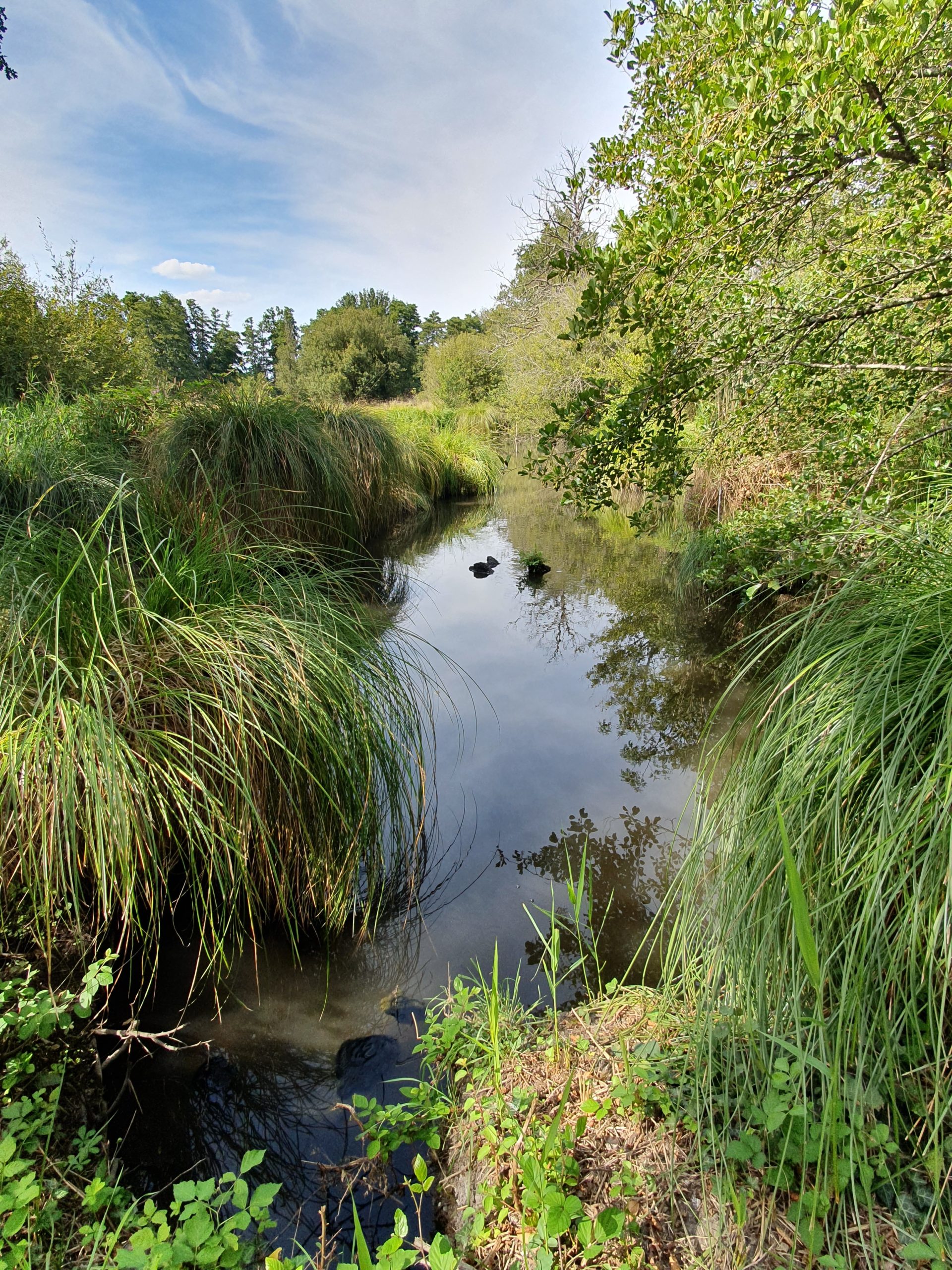 Parc des Jalles