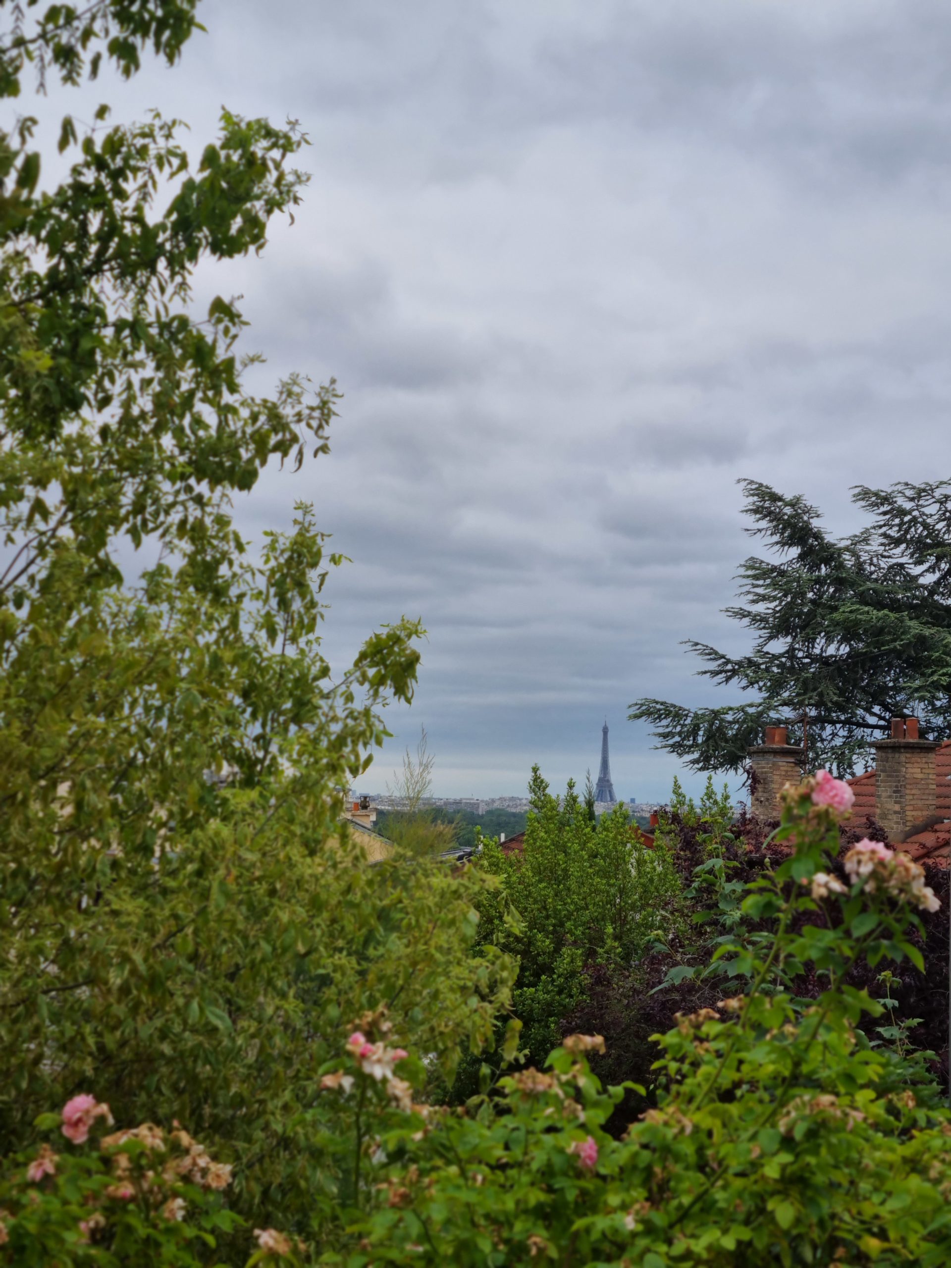 Au Père Lapin - Vue depuis la Terrasse sur la Tour Eiffel