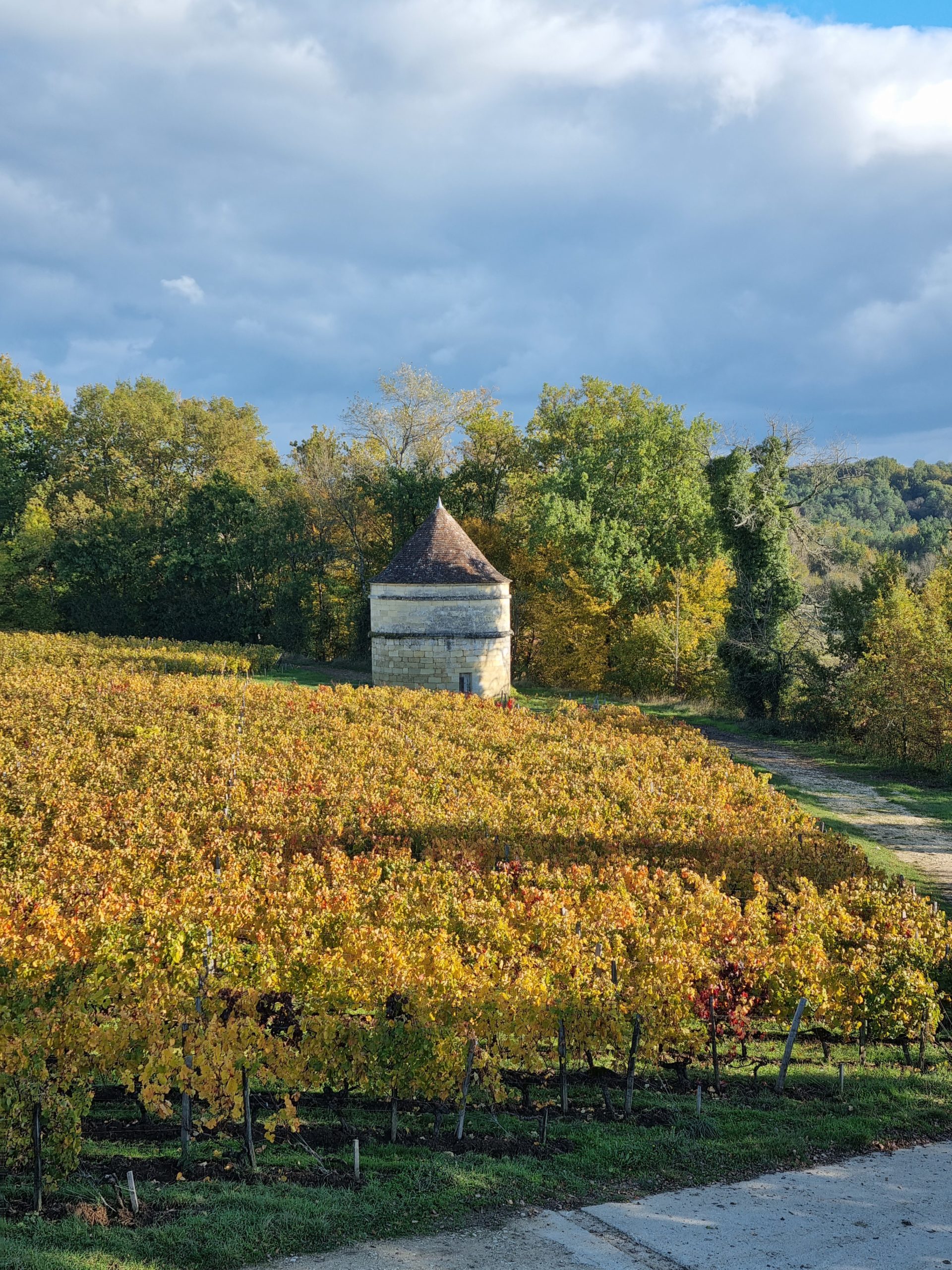 Visite du Château d’Aiguilhe dans l’Appellation Castillon Côtes de Bordeaux