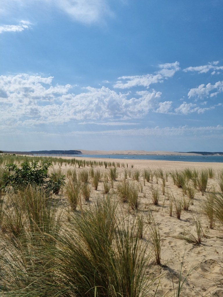 Restaurant à la pointe du Cap Ferret