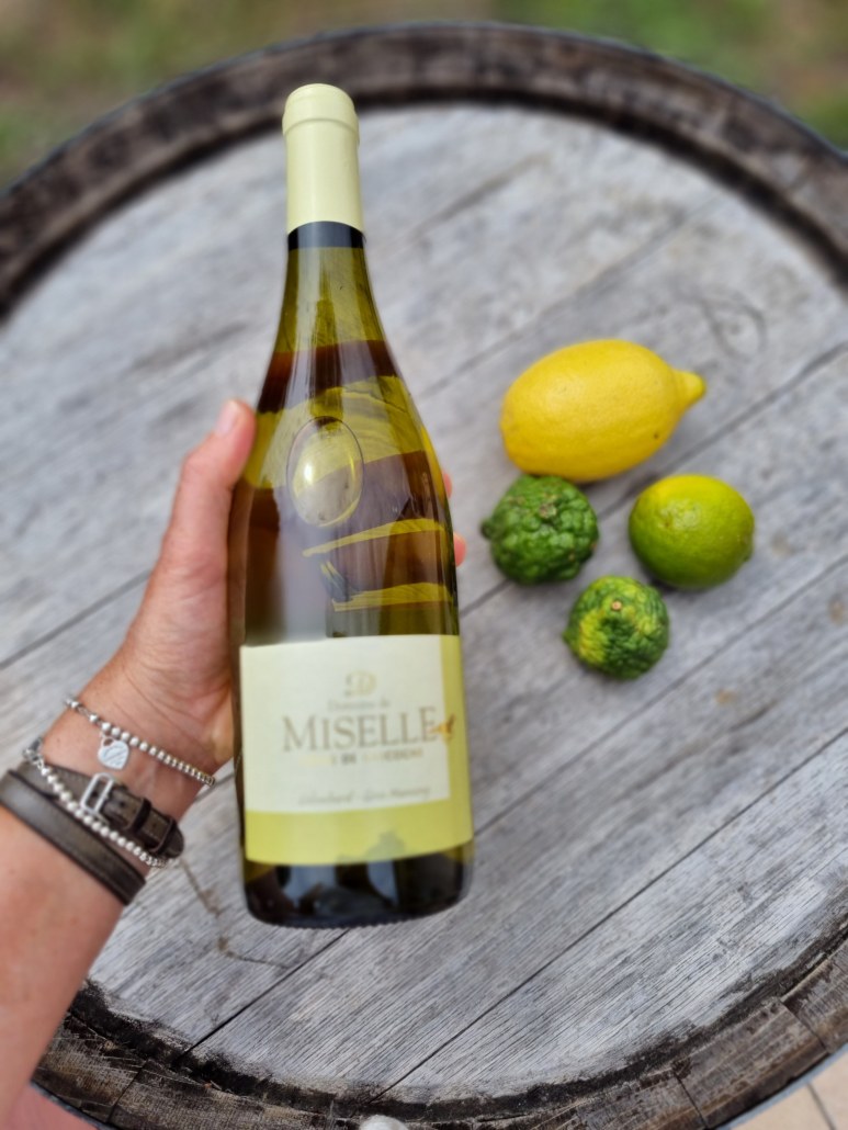Domaine de Miselle, Côtes de Gascogne