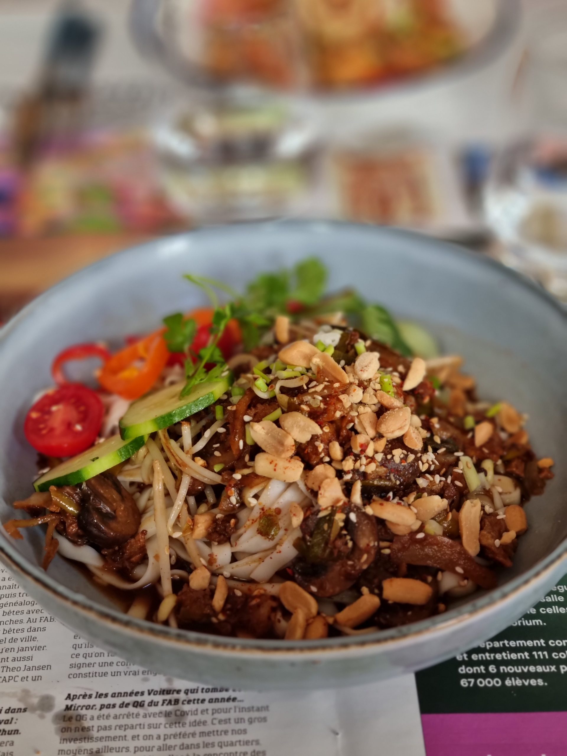 Nouilles Dandan mian au tofu et champignons au piment