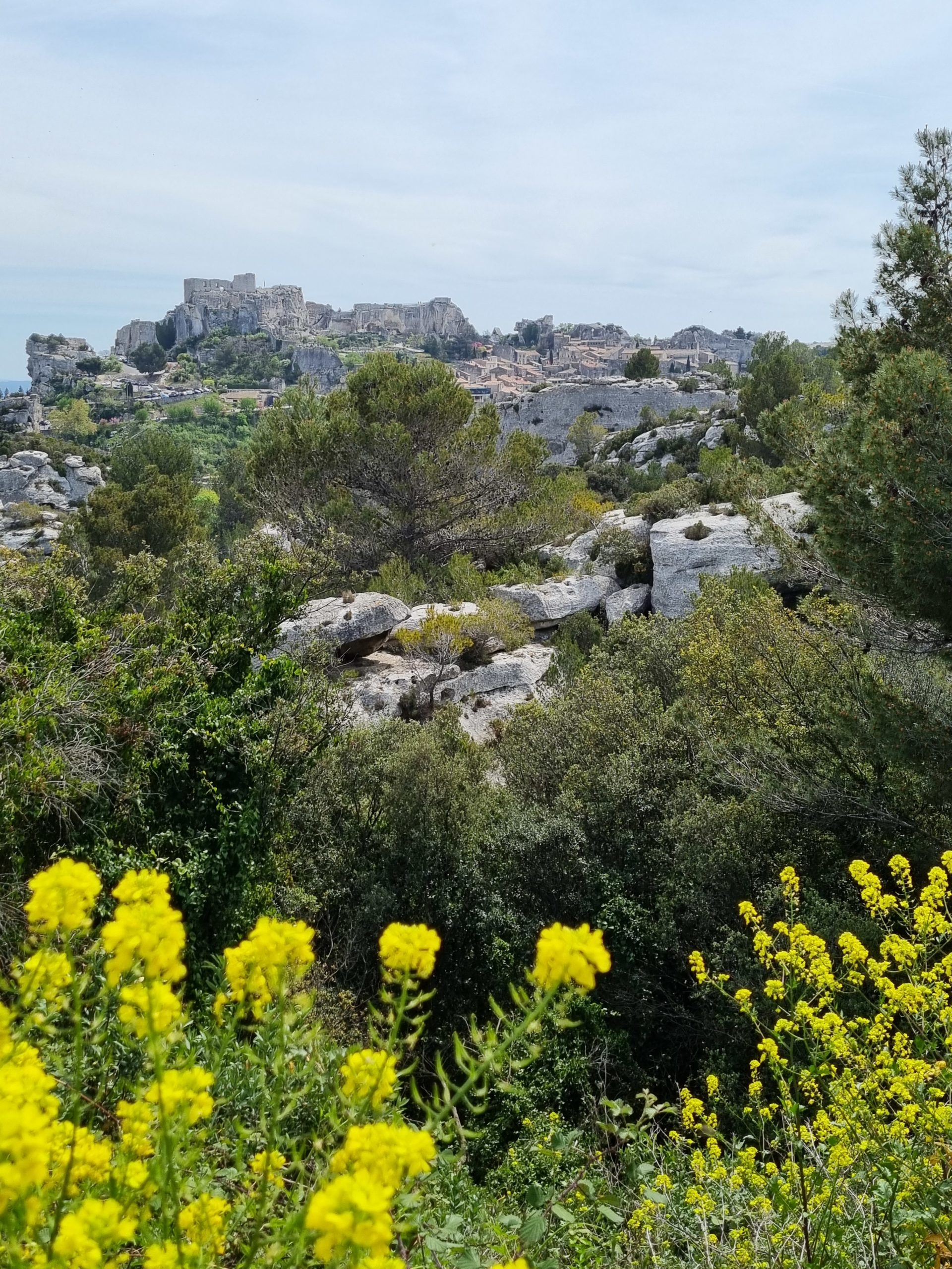 Road-Trip Sud de la France : que faire dans les Alpilles "