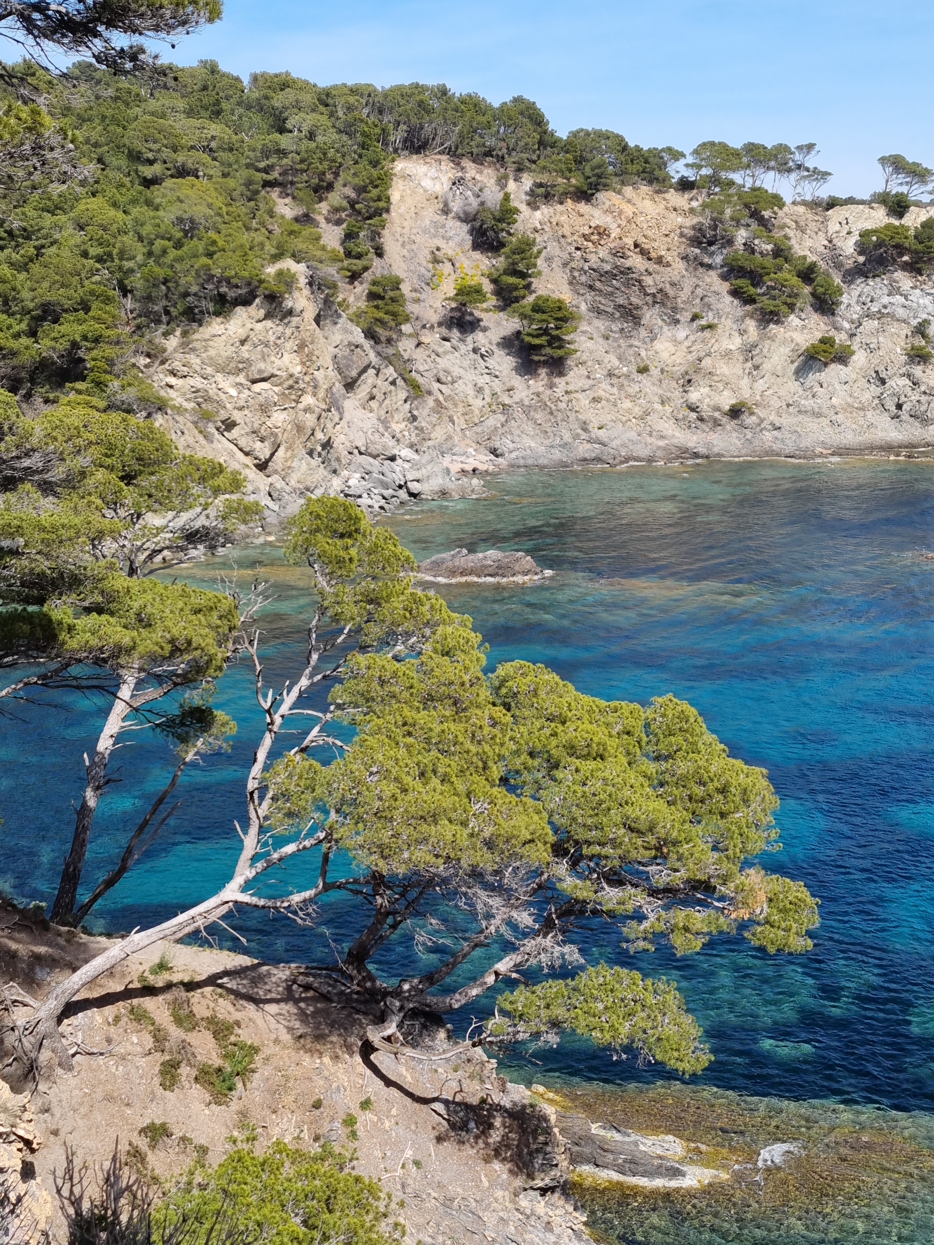 découvrir la Presque-Ile de Giens