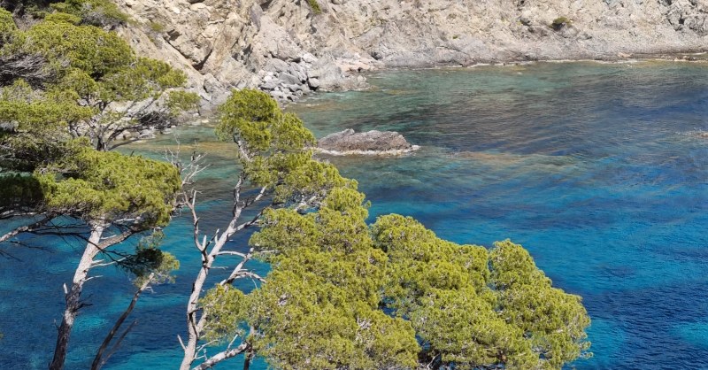 Presque Ile de Giens