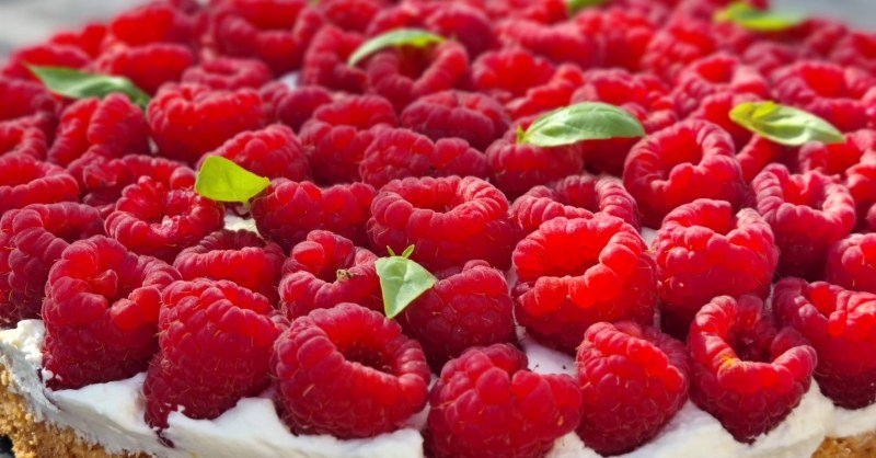 La meilleure recette de tarte aux framboises