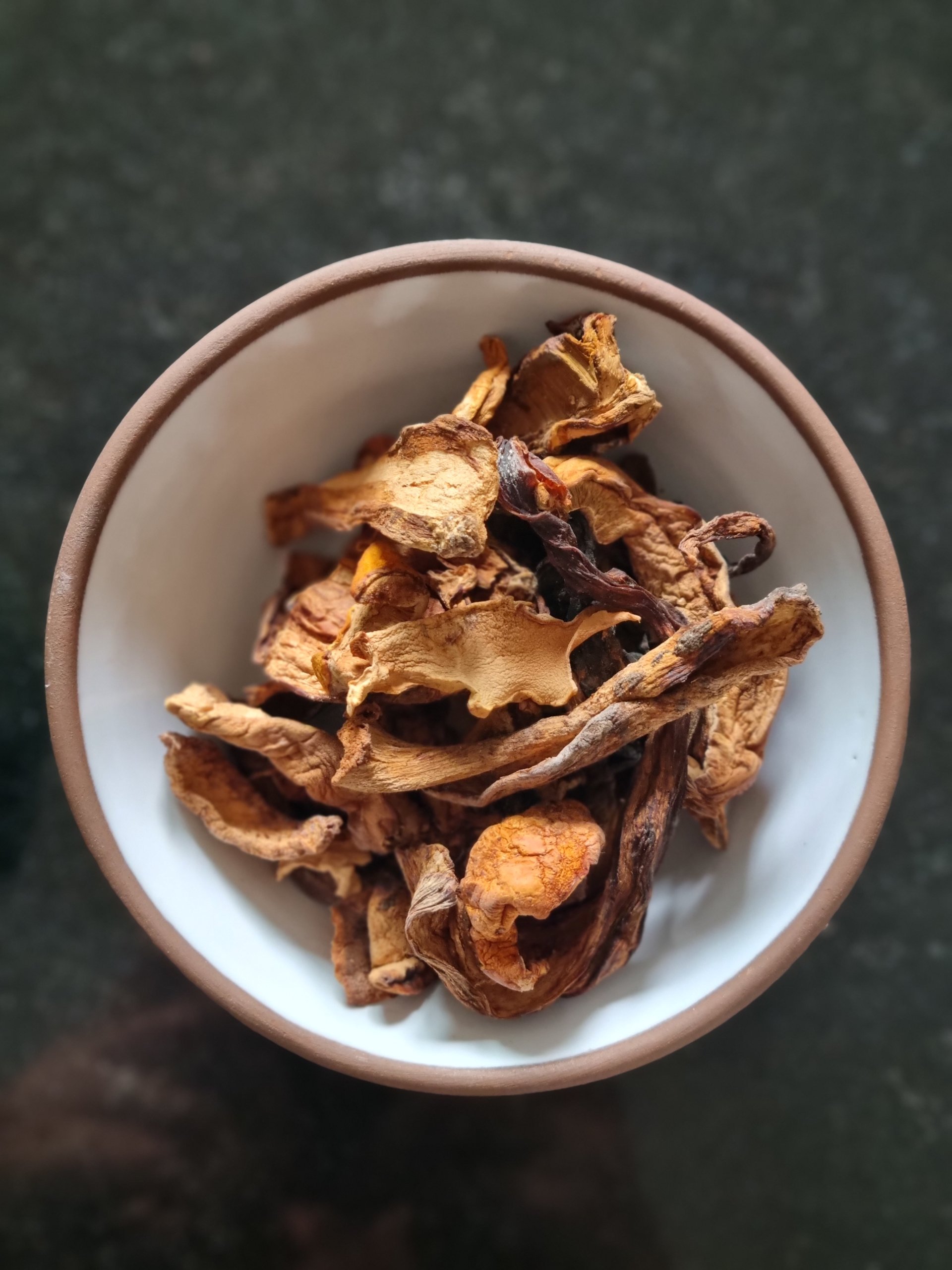 Cèpes séchés