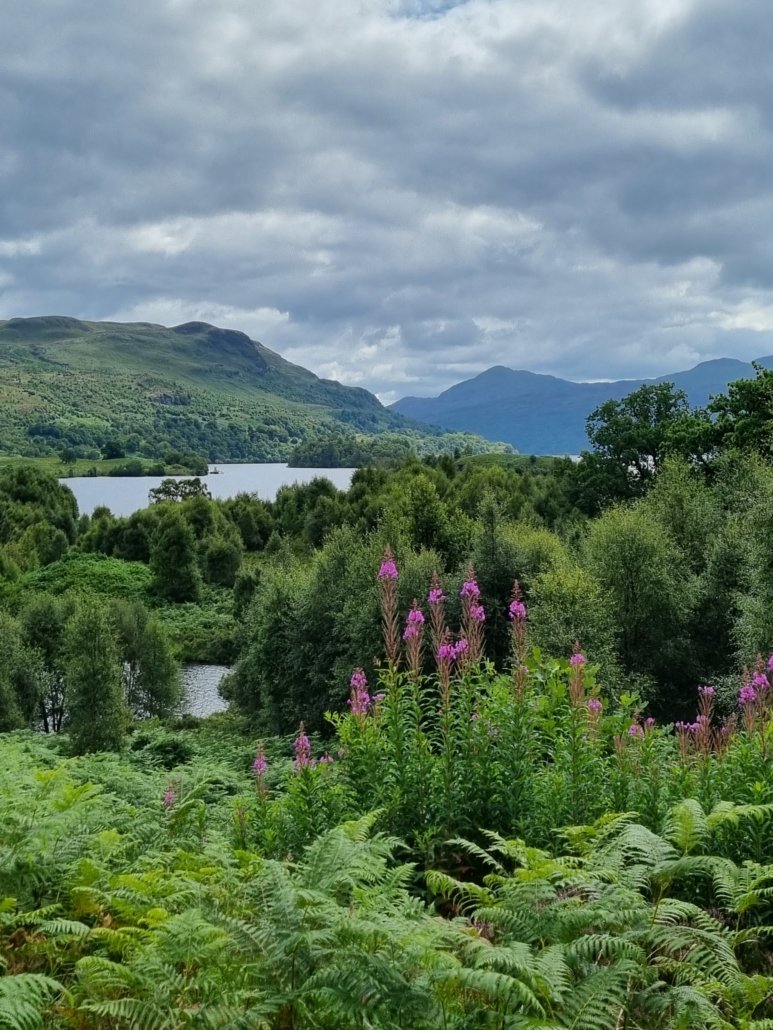 paysage Loch Katherine