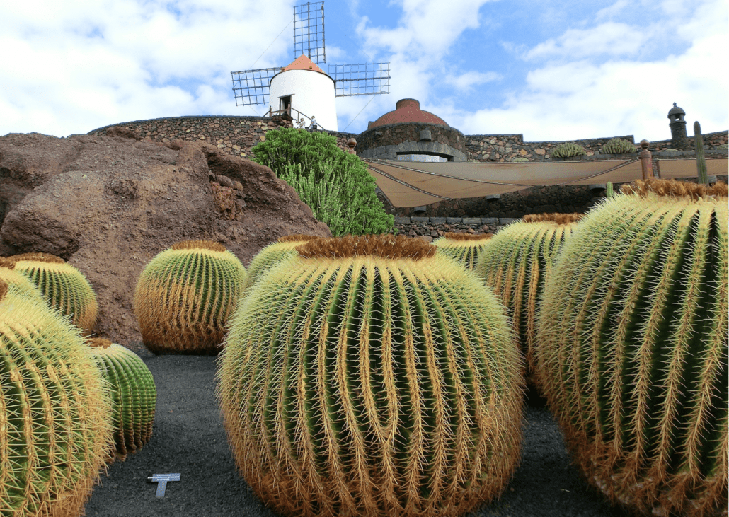 Destination Lanzarote