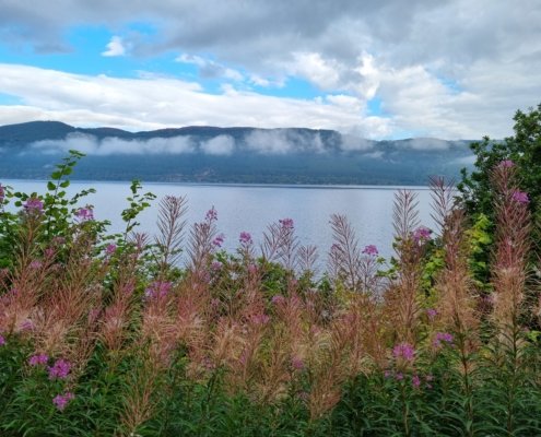 Road Trip dans les Highlands et le Loch-Ness