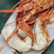 Comment cuisiner une langouste vivante ?